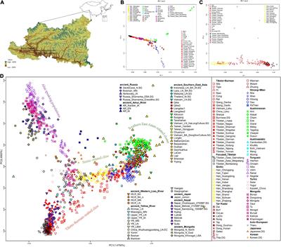 Genomic insight into the population history and biological adaptations of high-altitude Tibetan highlanders in Nagqu